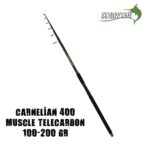 Carnellian Olta Kamışı Balık Avcılığı - Görsel 3