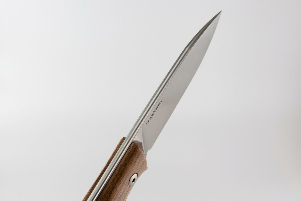 Lionsteel B35 Santos Wood Bıçak - Görsel 3
