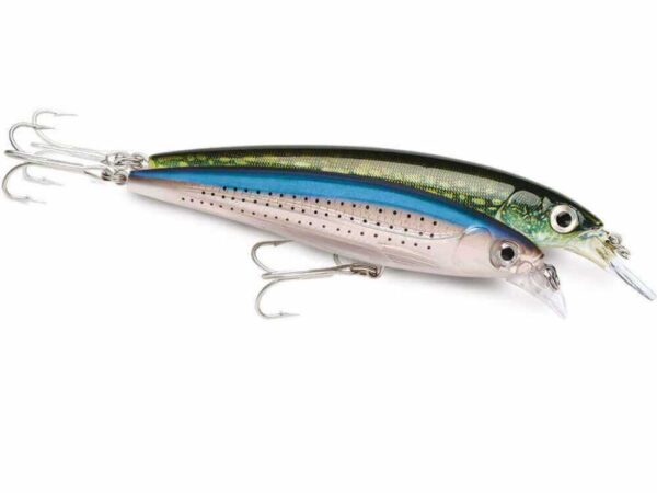 Rapala X-Rap Saltwater Sahte - İstanbul Av Market